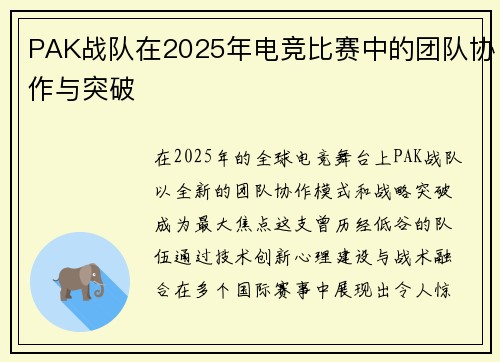 PAK战队在2025年电竞比赛中的团队协作与突破
